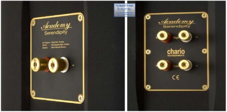 Напольная акустика Chario Academy Serendipity — изображение 8