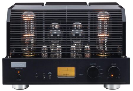 Triode JUNONE 845S — изображение 6