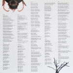 LP: Танцы Минус — «Флора/Фауна» (2000/2022) [Black Vinyl] — изображение 8