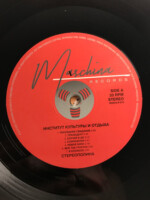 LP: СТЕРЕОПОЛИНА — «Институт культуры и отдыха» (2021) [Black Vinyl] — изображение 3