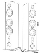 Triangle Esprit EZ Antal, black ash — изображение 5