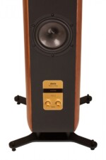 Акустика Chario Aviator Amelia — изображение 2