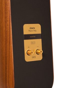 Акустика Chario Aviator Amelia — изображение 3