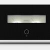 EverSolo AMP-F10