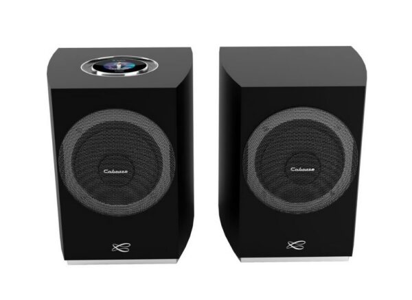 Cabasse Rialto Black, Полочная акустика, пара — изображение 4