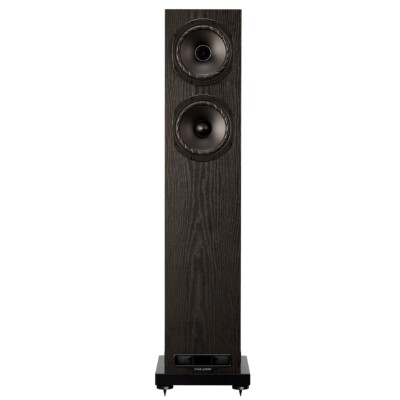 Fyne Audio F501E, black — изображение 2