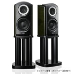 TAD ST1 Black, специализированные стойки для акустики — изображение 3